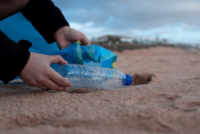 12 Best Volunteer Opportunities on Cape Cod